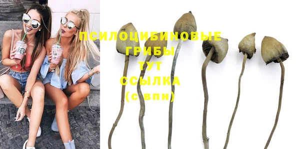 винт Белокуриха
