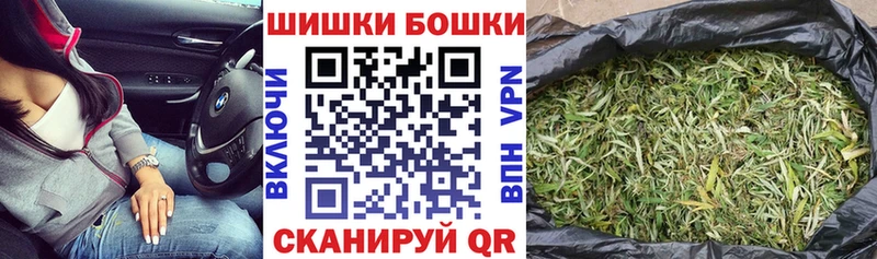 где найти наркотики  Светлогорск  МАРИХУАНА тримм 